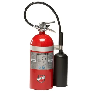10 lbs Carbon Dioxide Fire Extinguisher